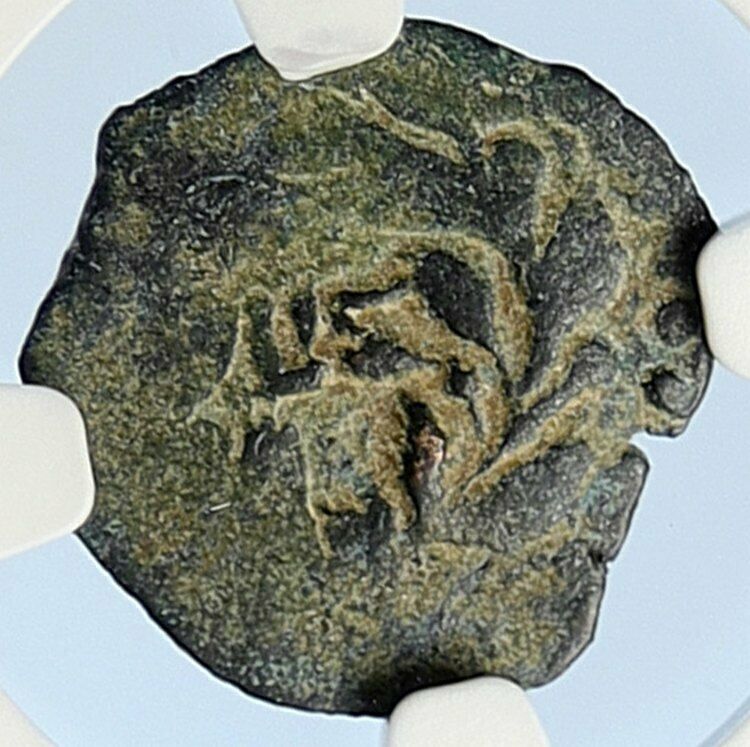 PONTIUS PILATE Tiberius Jerusalem JESUS CHRIST TRIAL Old Roman Coin NGC i106014