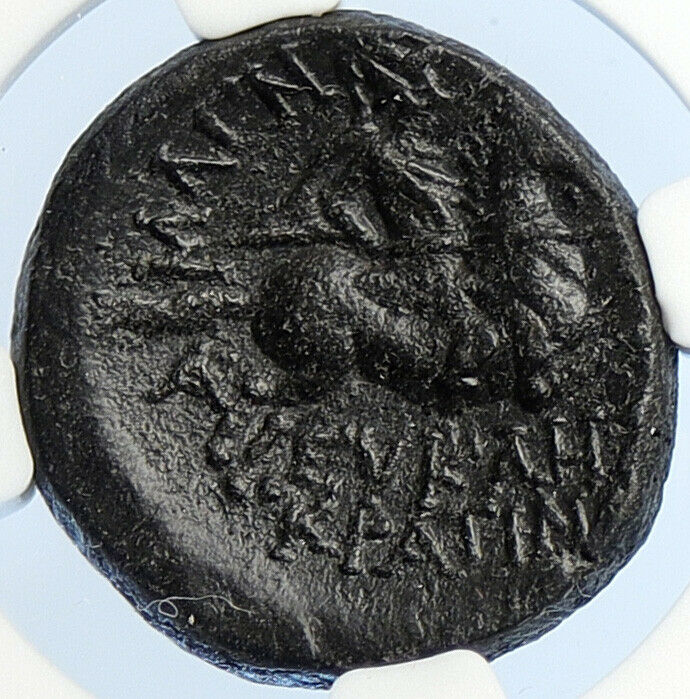 MAGNESIA, IONIA 200BC Authentic Ancient Greek HORESEMAN WARRIOR Coin NGC i106039