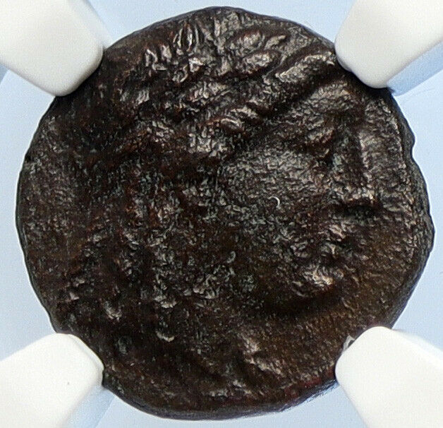 ACHAIOS Rebel SELEUKID King 220BC RARE Old Ancient Greek Coin Apollo NGC i106041