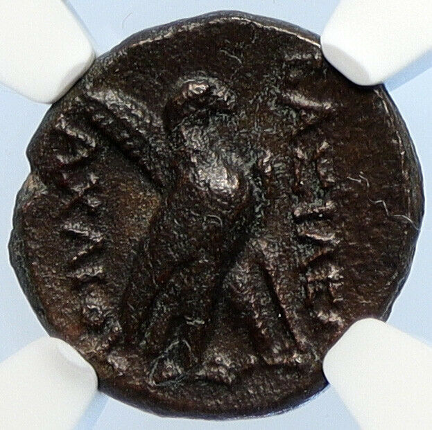 ACHAIOS Rebel SELEUKID King 220BC RARE Old Ancient Greek Coin Apollo NGC i106041