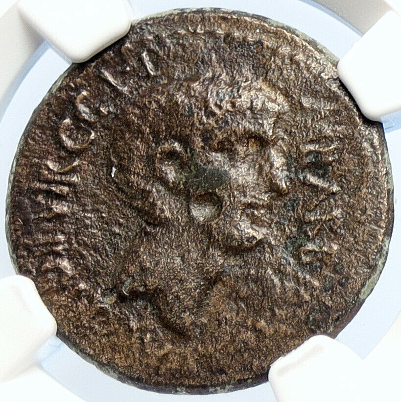 AUGUSTUS 27BC-14AD Mysia, Parium Rare Authentic Ancient Roman Coin NGC i106043