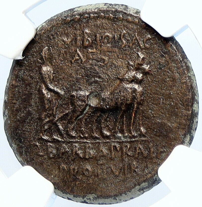 AUGUSTUS 27BC-14AD Mysia, Parium Rare Authentic Ancient Roman Coin NGC i106043