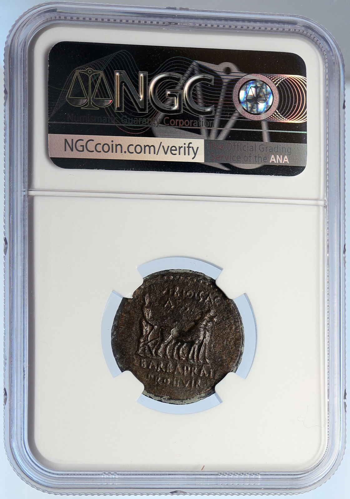 AUGUSTUS 27BC-14AD Mysia, Parium Rare Authentic Ancient Roman Coin NGC i106043