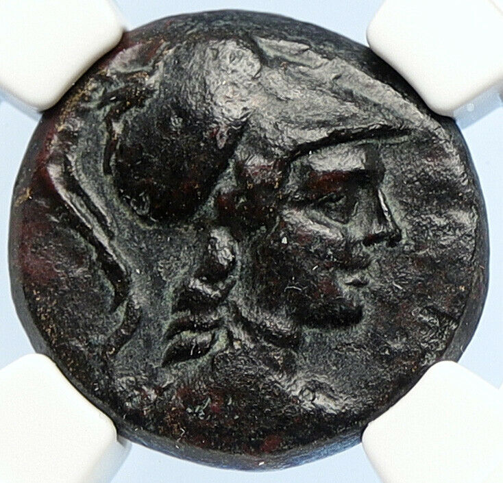 APAMEIA PHRYGIA 88BC Athena Gemini Caps Eagle OLD Ancient Greek Coin NGC i106048