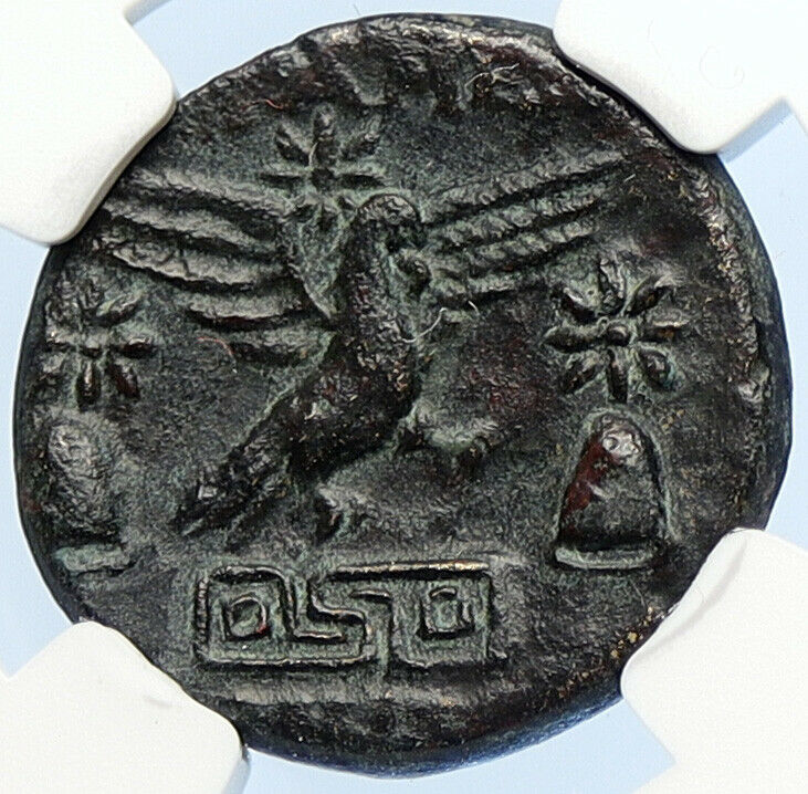 APAMEIA PHRYGIA 88BC Athena Gemini Caps Eagle OLD Ancient Greek Coin NGC i106048