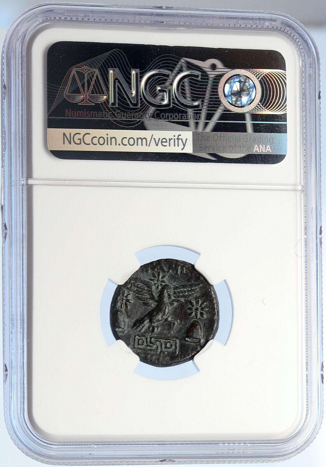 APAMEIA PHRYGIA 88BC Athena Gemini Caps Eagle OLD Ancient Greek Coin NGC i106048