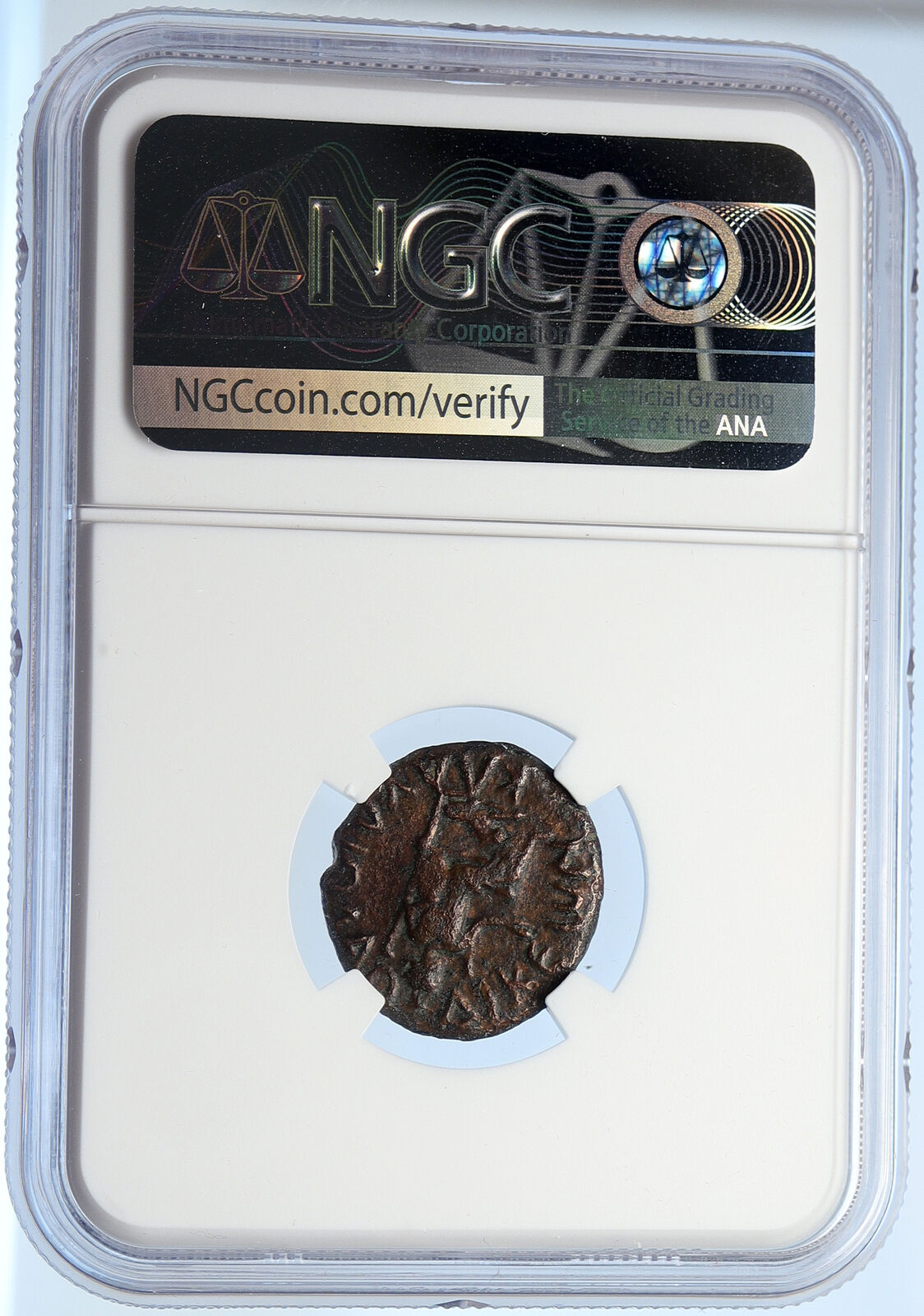 TITUS and DOMITIAN Laodicea Combusta Authentic Ancient Roman Coin NGC i106051