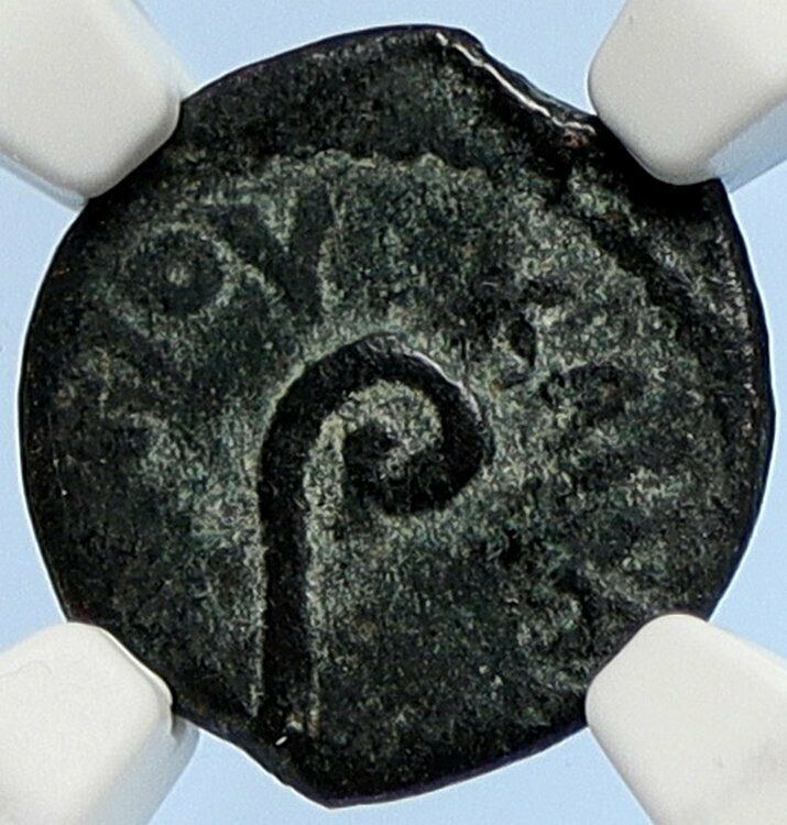 PONTIUS PILATE Tiberius Jerusalem JESUS CHRIST TRIAL Old Roman Coin NGC i106093