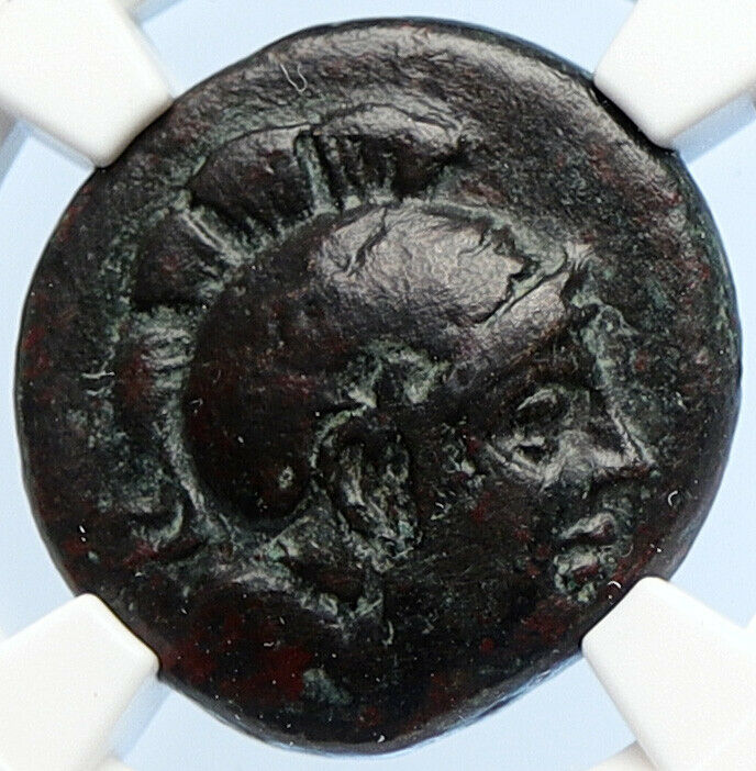 ASSOS in TROAS 300BC Athena Authentic Ancient OLD Greek Coin Griffin NGC i106052