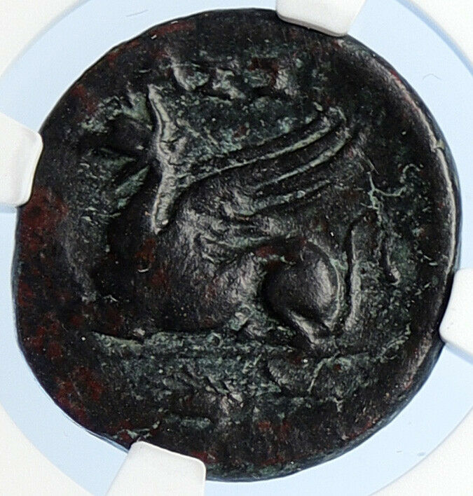 ASSOS in TROAS 300BC Athena Authentic Ancient OLD Greek Coin Griffin NGC i106052