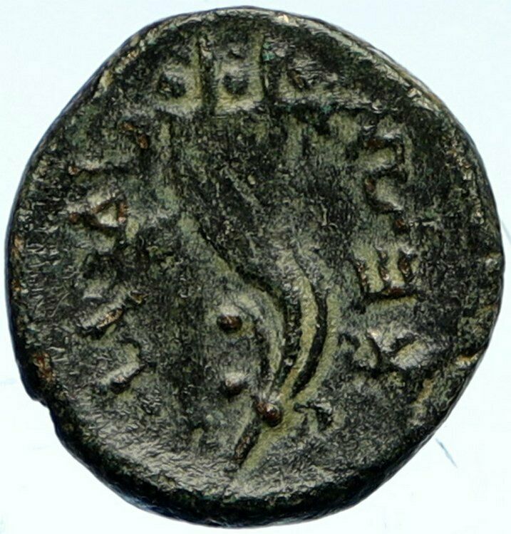 LAODIKEIA ad MARE in SELEUKIS and PIERIA Aphrodite Ancient Greek Coin i102700