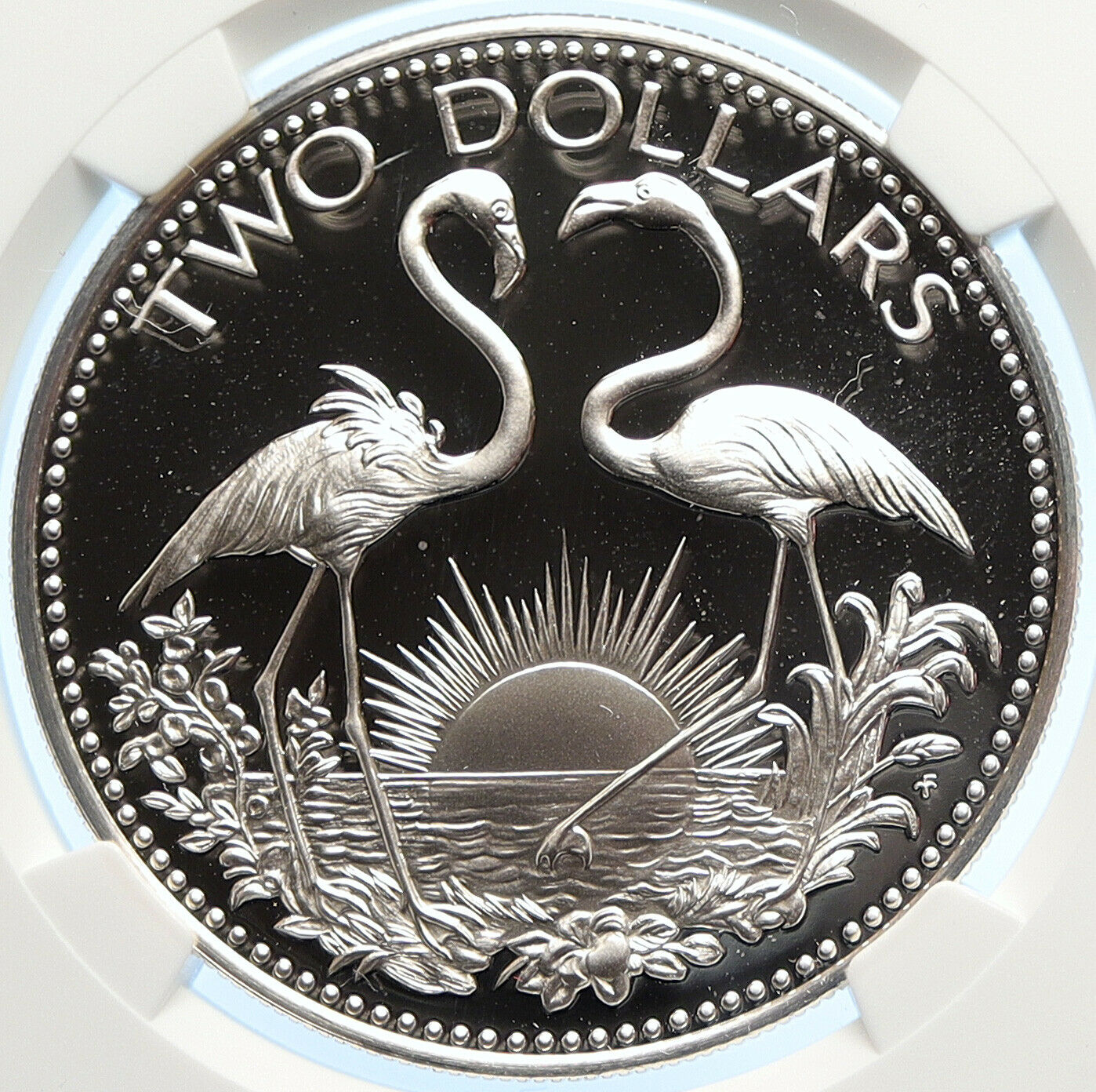 1976 The BAHAMAS Islands TWO FLAMINGOS Vintage Proof Silver $2 Coin NGC i106602