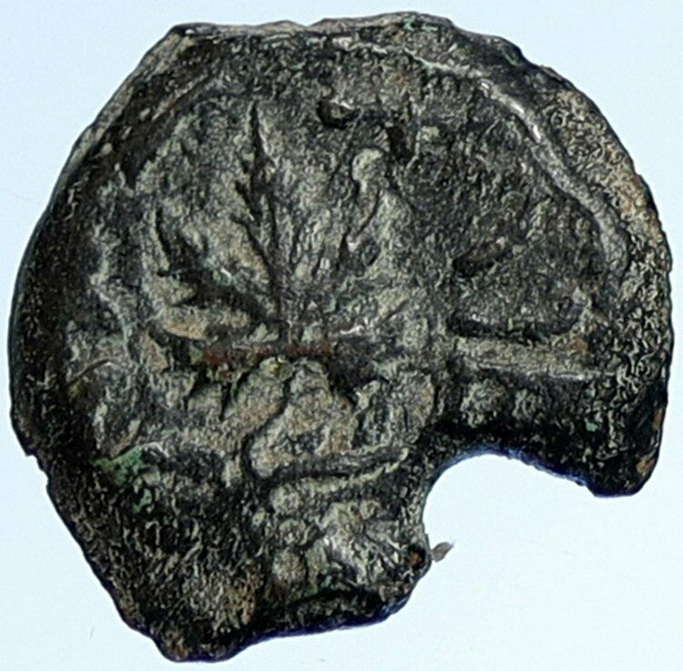 Authentic Ancient JEWISH WAR v ROMANS 68AD Year 3 JERUSALEM Coin AMPHORA i106985