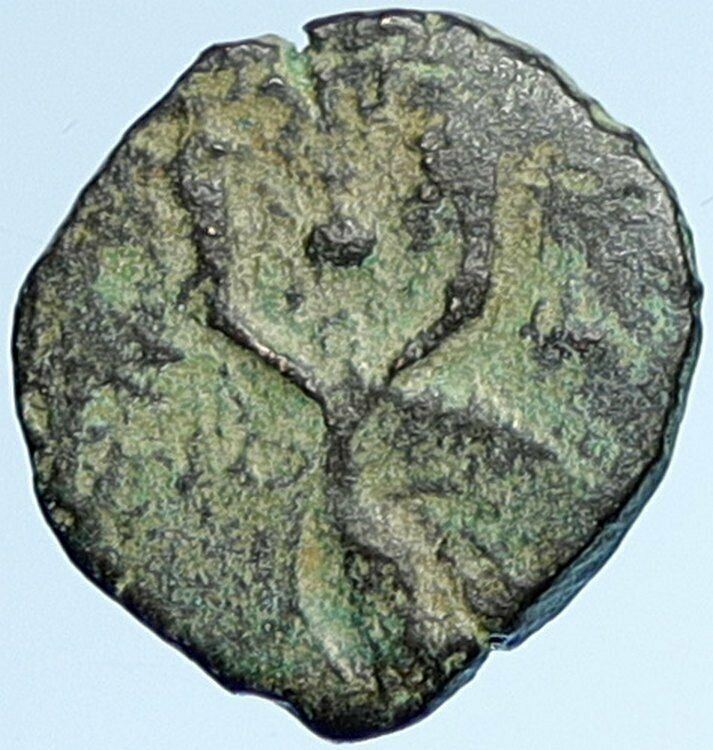 Salome Alexandra JOHN HYRCANUS II or ARISTOBULUS II Ancient Jewish Coin i106981