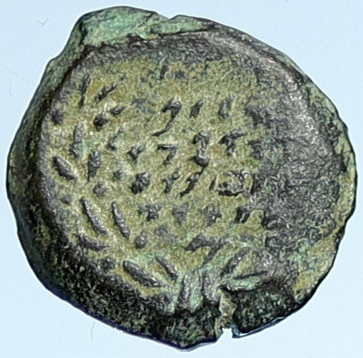 Salome Alexandra JOHN HYRCANUS II or ARISTOBULUS II Ancient Jewish Coin i106981