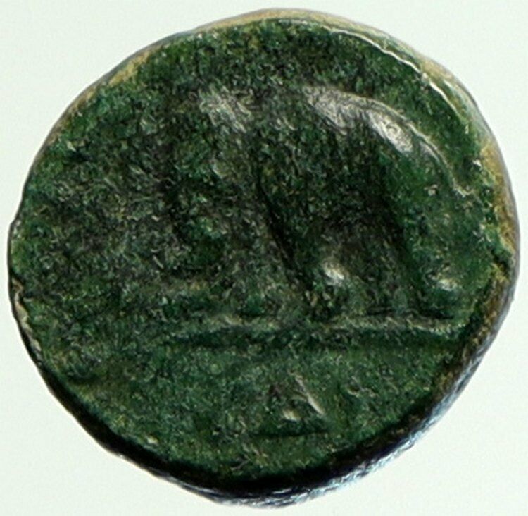 ANTIOCHOS III Megas c.223BC Ancient RARE Greek SELEUKID King Coin APOLLO i104385