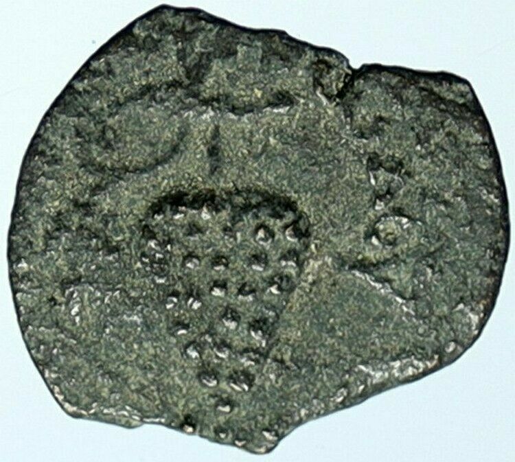 HEROD ARCHELAUS Biblical JERUSALEM Jewish OLD Ancient Greek Coin GRAPES i104464