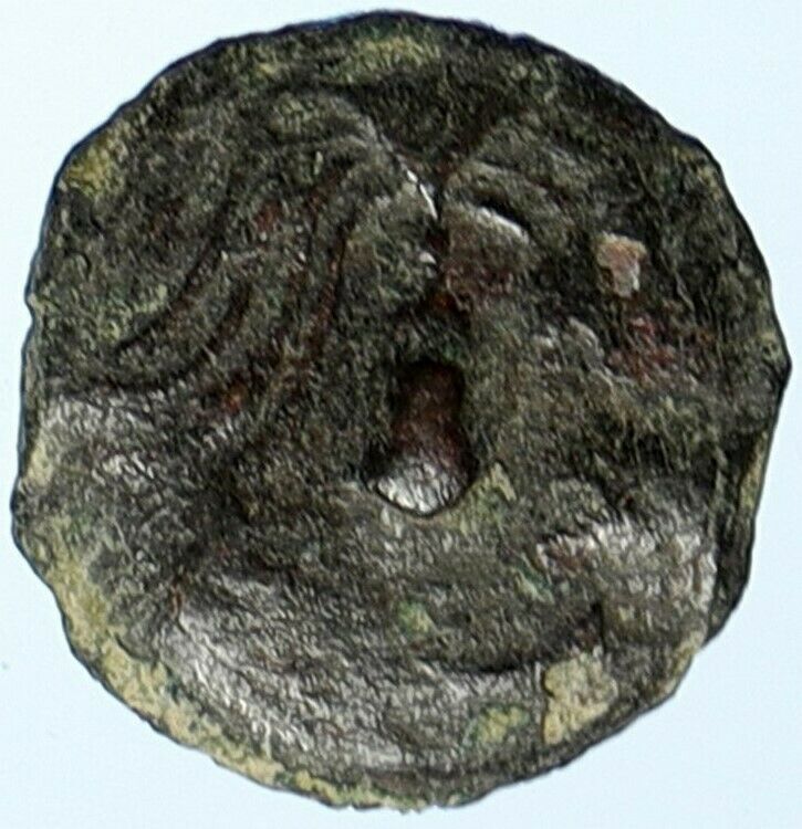 HEROD ARCHELAUS Biblical JERUSALEM Jewish OLD Ancient Greek Coin GRAPES i107044