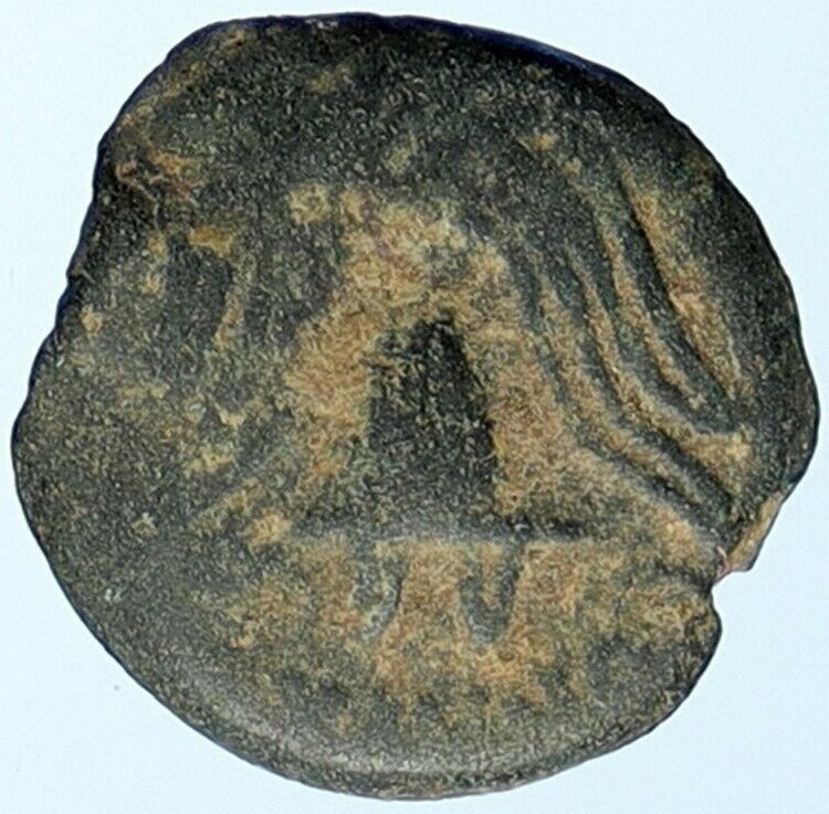 HEROD ARCHELAUS Biblical JERUSALEM Jewish OLD Ancient Greek Coin GRAPES i107052