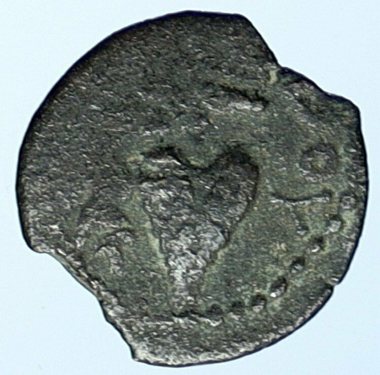 HEROD ARCHELAUS Biblical JERUSALEM Jewish OLD Ancient Greek Coin GRAPES i107055