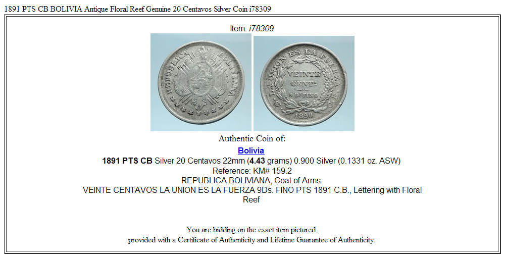 1891 PTS CB BOLIVIA Antique Floral Reef Genuine 20 Centavos Silver Coin i78309