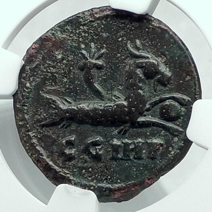 MACRINUS 217AD Parium MYSIA Authentic Ancient Roman Coin CAPRICORN NGC i78437