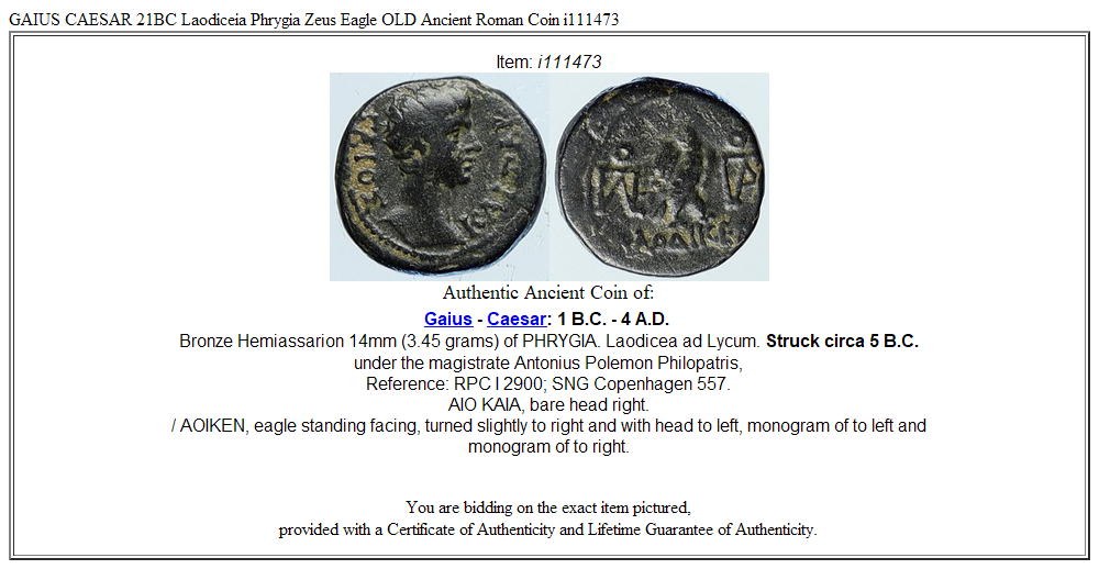 GAIUS CAESAR 21BC Laodiceia Phrygia Zeus Eagle OLD Ancient Roman Coin i111473
