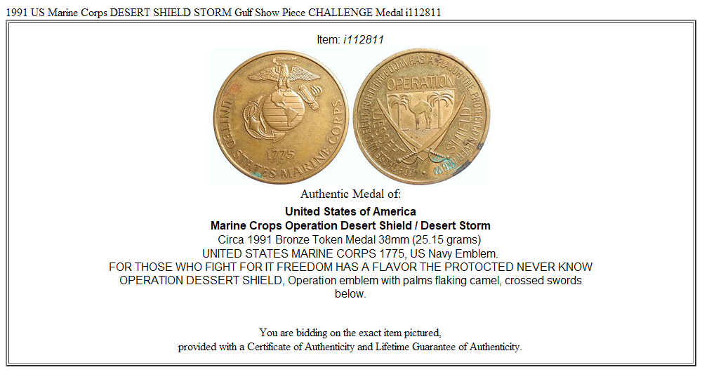 1991 US Marine Corps DESERT SHIELD STORM Gulf Show Piece CHALLENGE Medal i112811