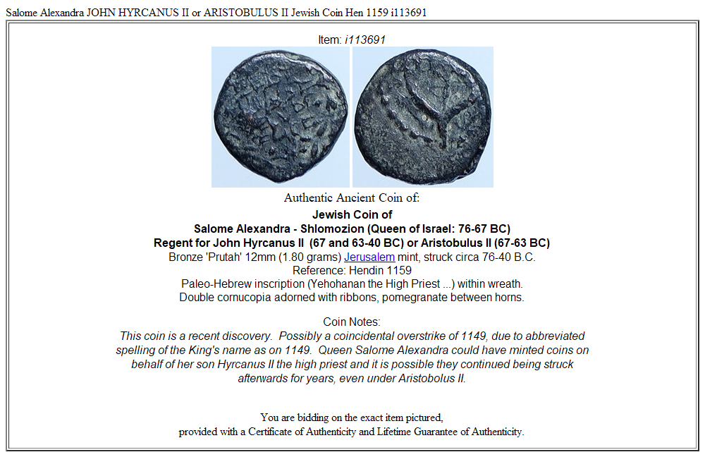 Salome Alexandra JOHN HYRCANUS II or ARISTOBULUS II Jewish Coin Hen 1159 i113691