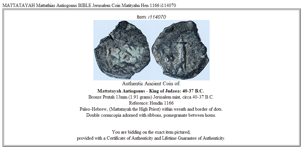 MATTATAYAH Mattathias Antiogonus BIBLE Jerusalem Coin Matityahu Hen 1166 i114070