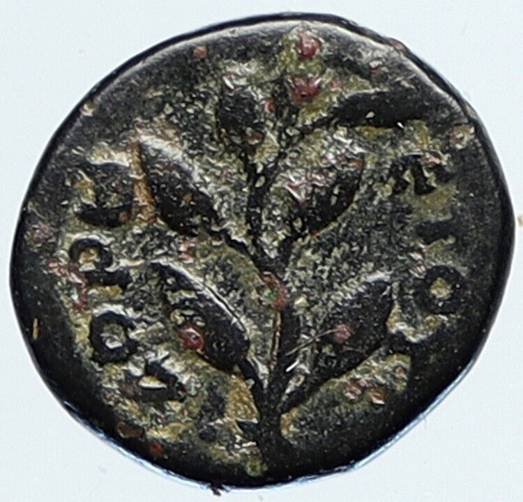 ANTIOCH c.117AD Hadrian Time Authentic Ancient Greek Coin APOLLO BRANCH i111476