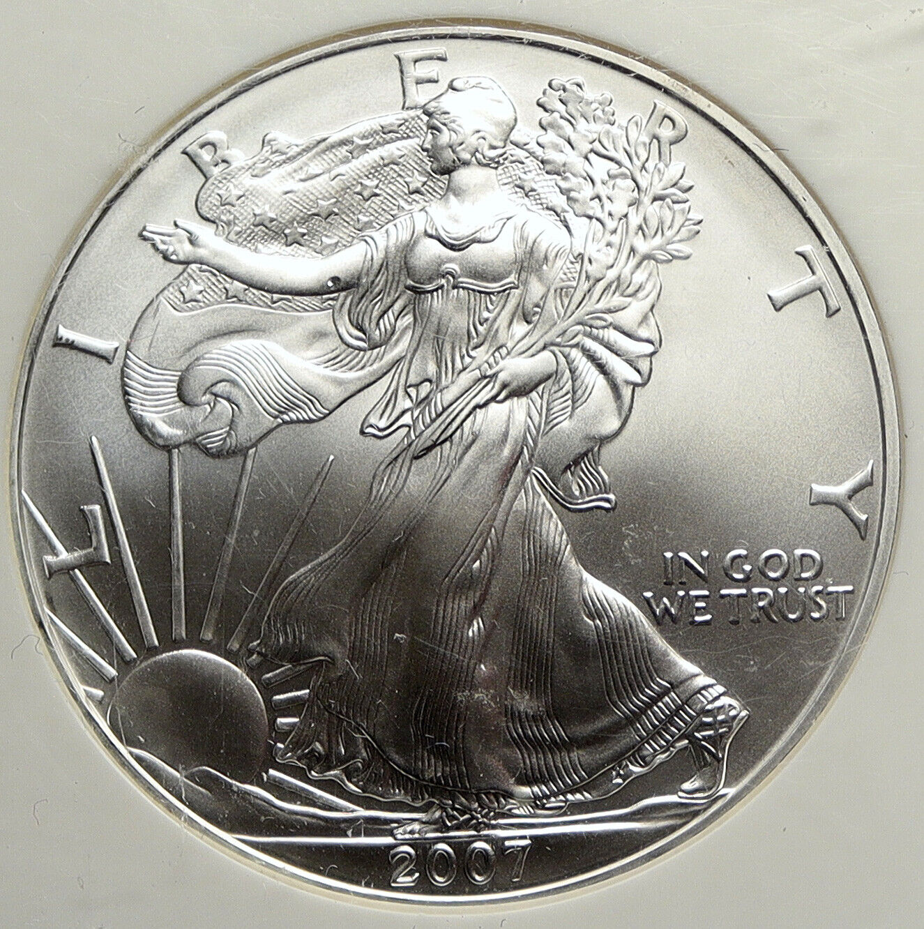 2007 USA US Walking Liberty BALD EAGLE Silver Medal Coin GEM UNC NGC i113449