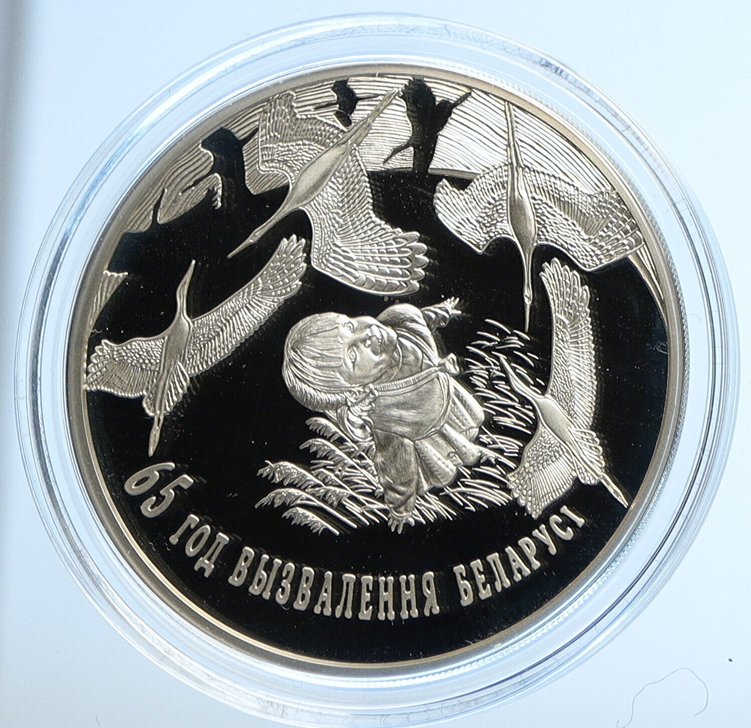 2009 BELARUS Birds NATIONAL ACADEMY SCIENCES Proof Silver 20 Rubles Coin i112872