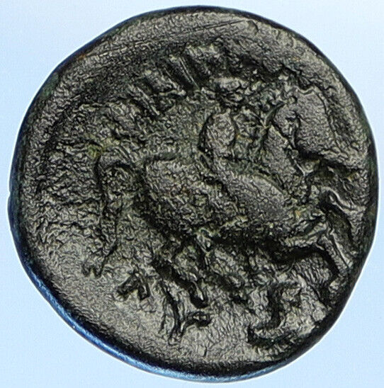 LYSIMACHOS 317BC Apollo OLYMPIC Horse of Philip II Ancient Greek Coin i112885