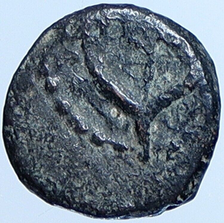 Salome Alexandra JOHN HYRCANUS II or ARISTOBULUS II Jewish Coin Hen 1159 i113691