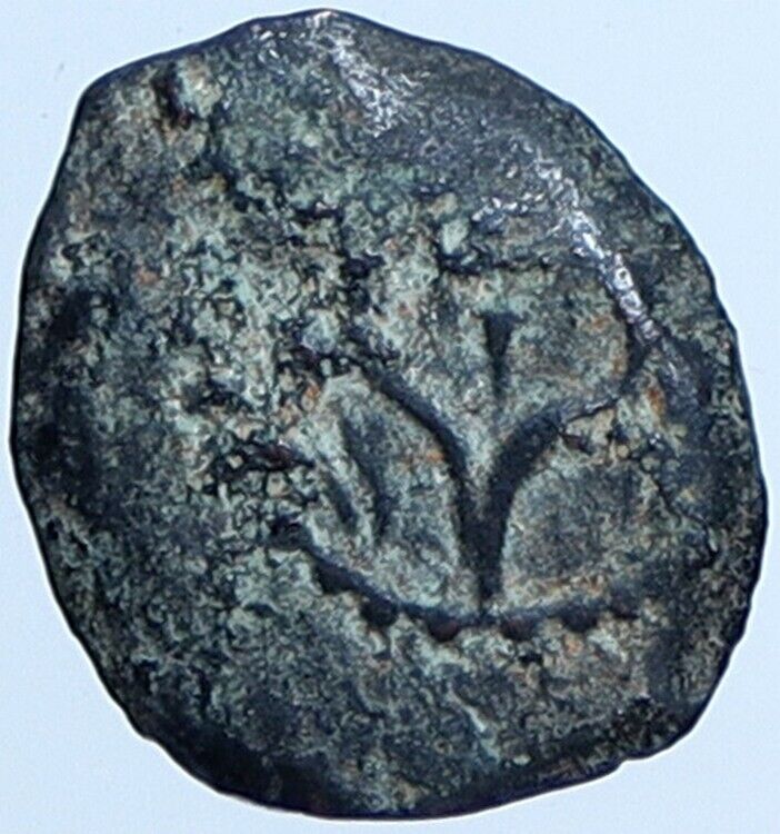 Salome Alexandra JOHN HYRCANUS II or ARISTOBULUS II Jewish Coin Hen 1159 i113692