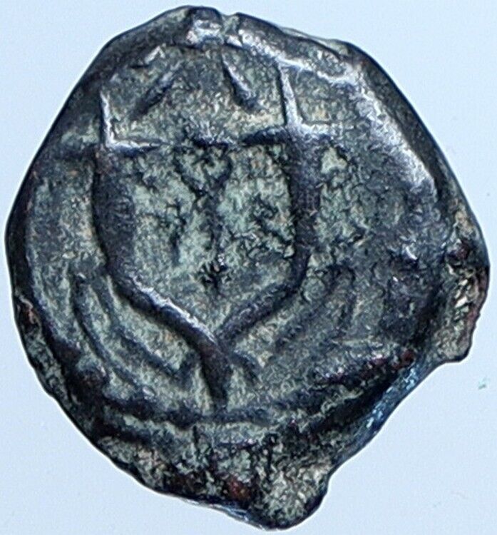 Salome Alexandra JOHN HYRCANUS II or ARISTOBULUS II Jewish Coin Hen 1159 i113705