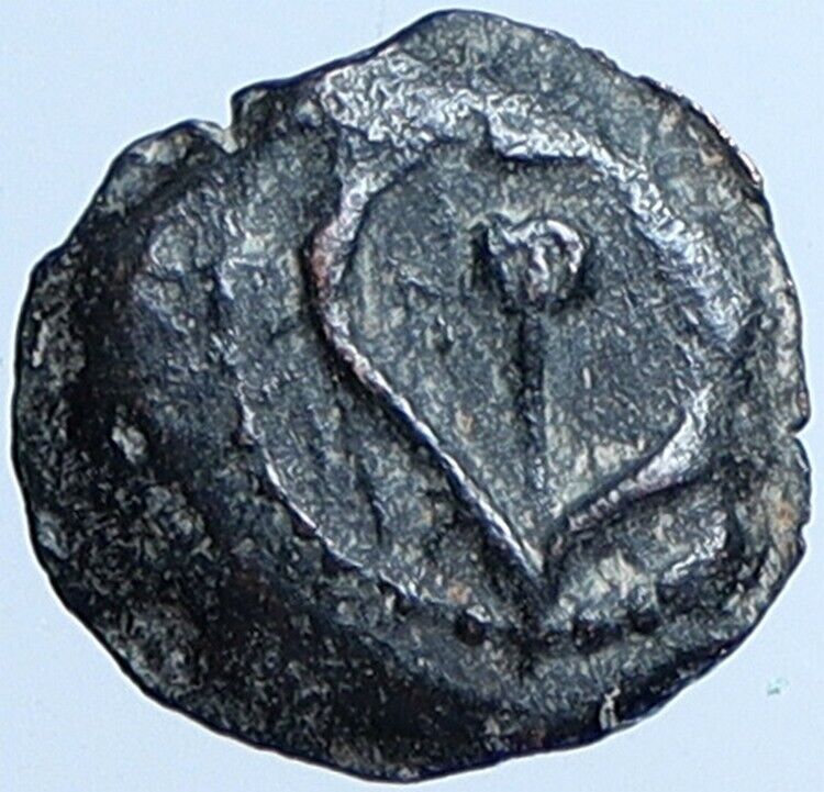 Salome Alexandra JOHN HYRCANUS II or ARISTOBULUS II Jewish Coin Hen 1159 i113704