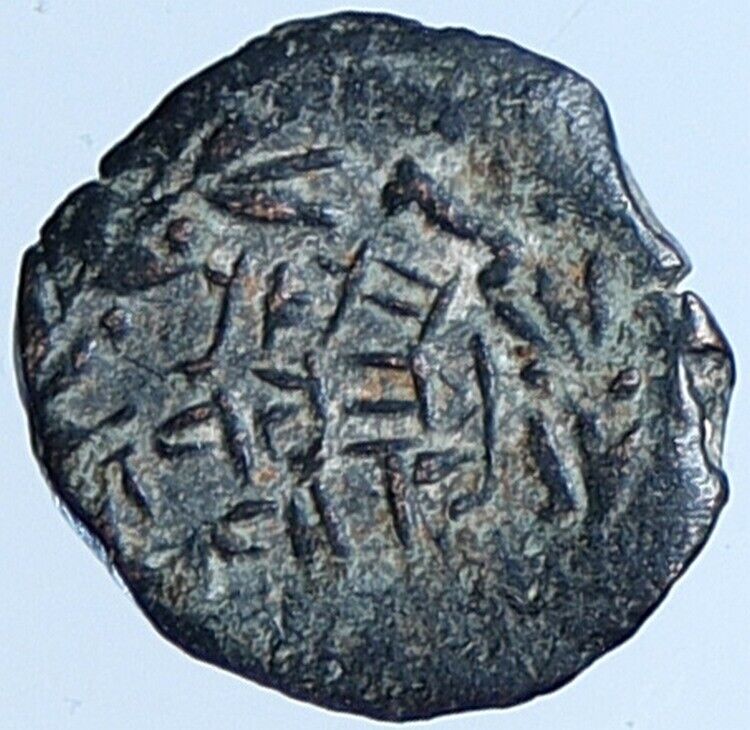 Salome Alexandra JOHN HYRCANUS II or ARISTOBULUS II Jewish Coin Hen 1159 i113704