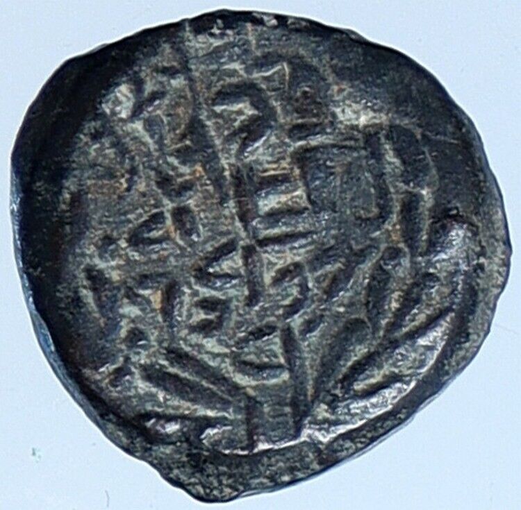 Salome Alexandra JOHN HYRCANUS II or ARISTOBULUS II Jewish Coin Hen 1159 i113706