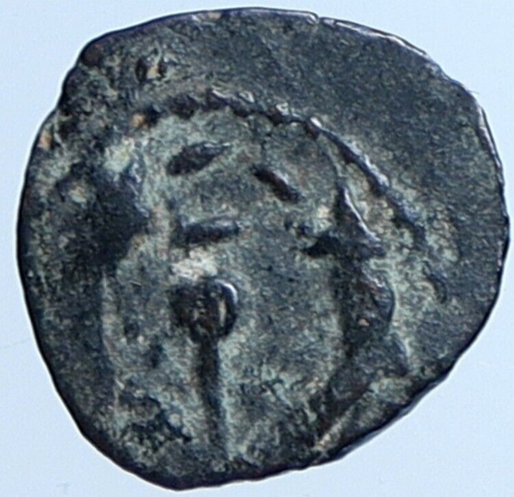 Salome Alexandra JOHN HYRCANUS II or ARISTOBULUS II Jewish Coin Hen 1159 i113706