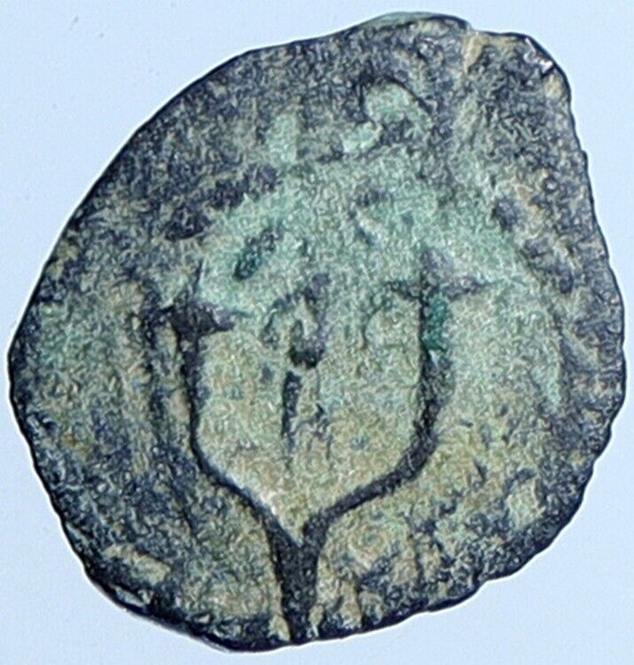 Salome Alexandra JOHN HYRCANUS II or ARISTOBULUS II Jewish Coin Hen 1159 i113693