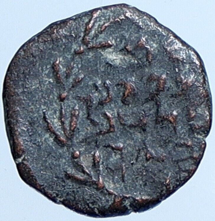 Salome Alexandra JOHN HYRCANUS II or ARISTOBULUS II Jewish Coin Hen 1159 i113698