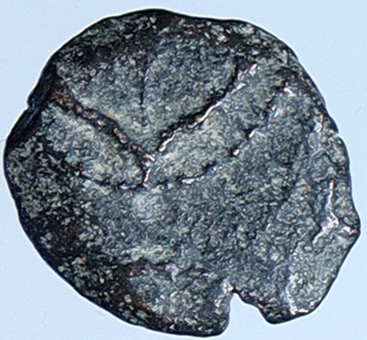 Salome Alexandra JOHN HYRCANUS II or ARISTOBULUS II Jewish Coin Hen 1159 i113697