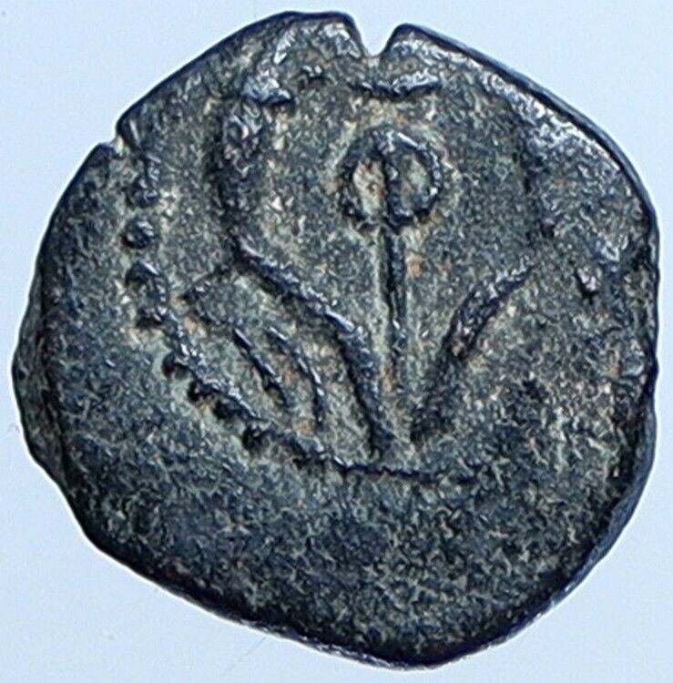 Salome Alexandra JOHN HYRCANUS II or ARISTOBULUS II Jewish Coin Hen 1159 i113700