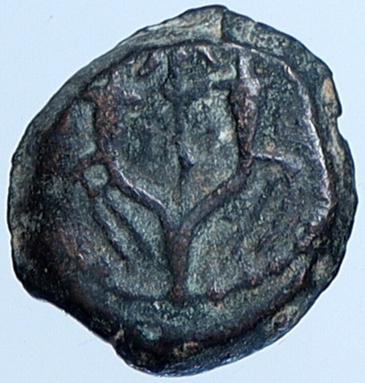 Salome Alexandra JOHN HYRCANUS II or ARISTOBULUS II Jewish Coin Hen 1159 i113701