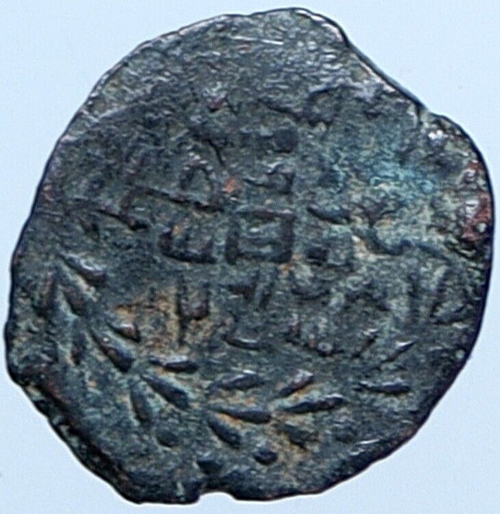 Salome Alexandra JOHN HYRCANUS II or ARISTOBULUS II Jewish Coin Hen 1159 i113701