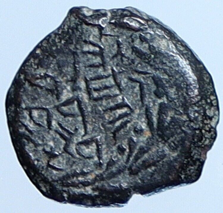 Salome Alexandra JOHN HYRCANUS II or ARISTOBULUS II Jewish Coin Hen 1159 i113694