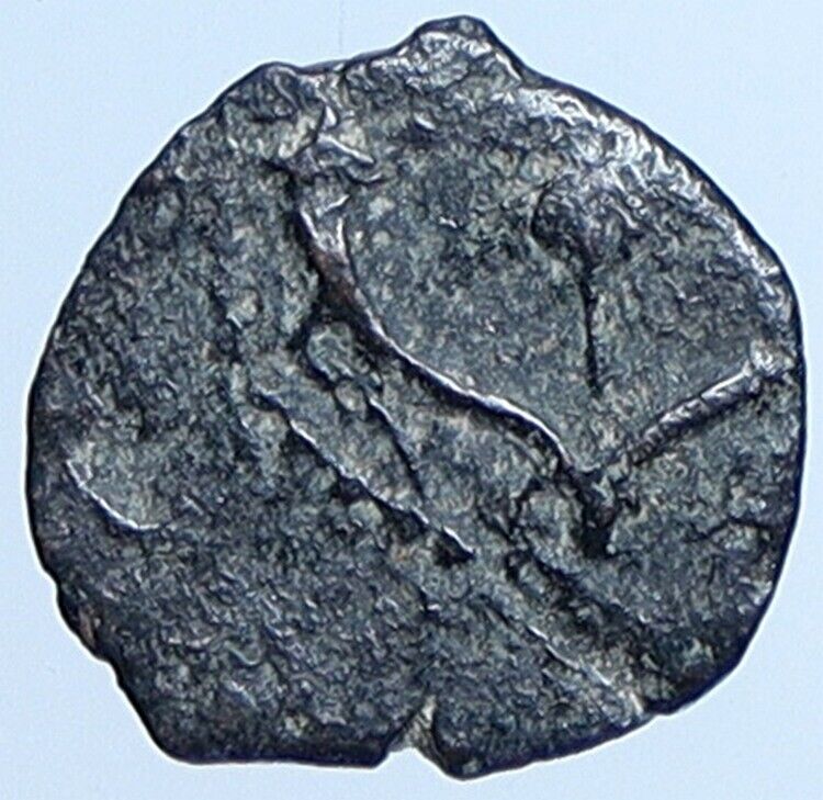 Salome Alexandra JOHN HYRCANUS II or ARISTOBULUS II Jewish Coin Hen 1159 i113694