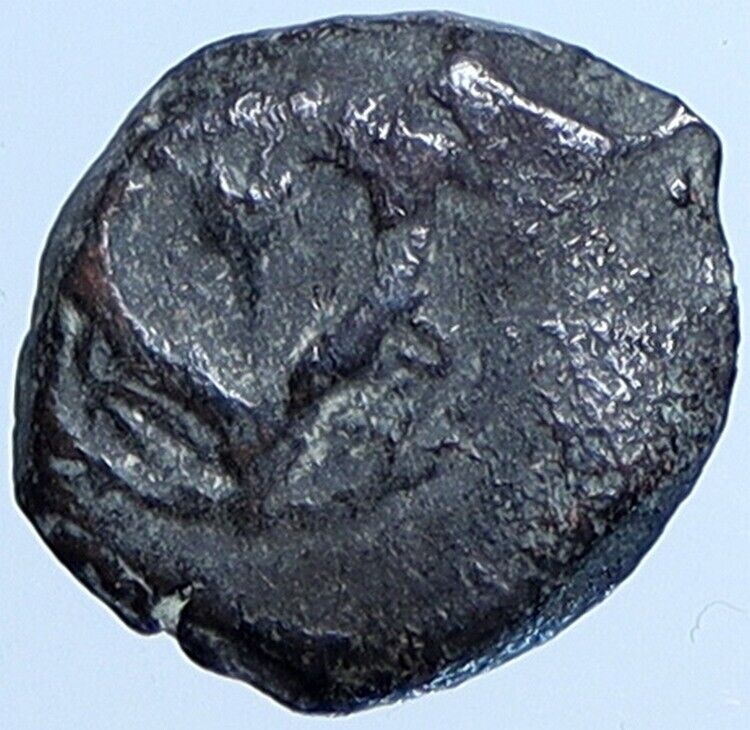 Salome Alexandra JOHN HYRCANUS II or ARISTOBULUS II Jewish Coin Hen 1159 i113684